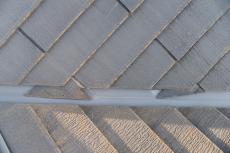 20190413 Msama mae71.jpg
