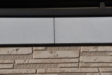 20190413 Msama mae78.jpg