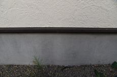 20190417 tomisatomachi Tsama mae11.JPG