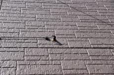 20190503 Ksama mae04.JPG