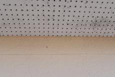 20190503 Ksama mae21.JPG