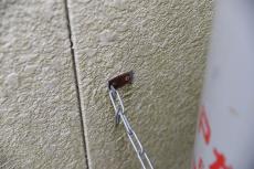 20190503 Ssama mae24.JPG