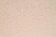 20190515 Tsama mae01.JPG