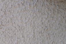 20190515 Tsama mae02.JPG