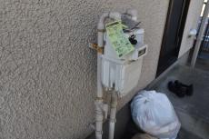 20190515 Tsama mae03.JPG