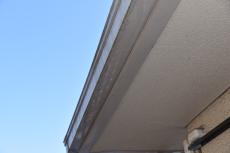 20190515 Tsama mae14.JPG