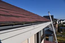 20190515 Tsama mae15.JPG