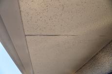 20190515 Tsama mae16.JPG