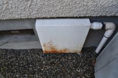 20190515 Tsama mae24.JPG