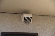 20190515 Tsama mae27.JPG