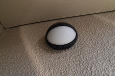 20190515 Tsama mae32.JPG