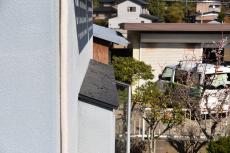 20190517 naritashi Isama mae22.JPG