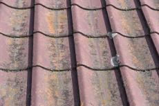 20190521  Isama mae02.JPG