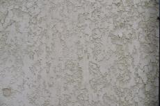 20190521  Isama mae19.JPG