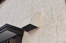 20190521  Isama mae21.JPG