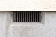 20190521  Isama mae25.JPG