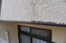 20190521  Isama mae38.JPG