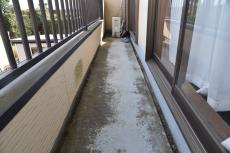 20190521  Isama mae39.JPG