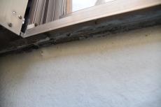 20190521  Isama mae41.JPG