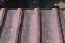 20190521  Isama mae43.JPG