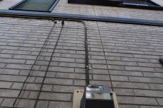 20190521 Msama mae09.JPG