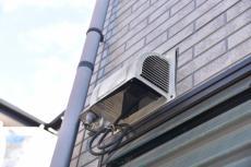 20190521 Msama mae11.JPG