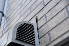 20190521 Msama mae12.JPG