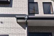 20190521 Msama mae16.JPG