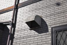 20190521 Msama mae17.JPG