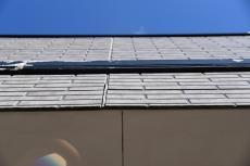 20190521 Msama mae24.JPG