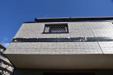 20190521 Msama mae29.JPG