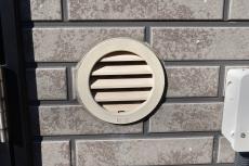 20190521 Msama mae32.JPG