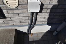 20190521 Msama mae33.JPG