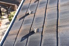 20190521 Msama mae36.JPG