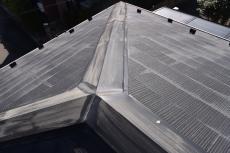 20190521 Msama mae37.JPG