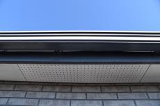 20190521 Msama mae41.JPG