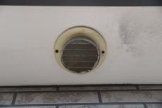 20190521 Msama mae42.JPG