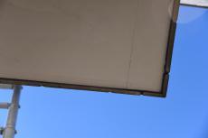 20190521 Msama mae47.JPG