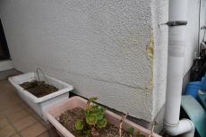 20190529 Nsama mae03.JPG