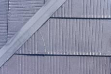 20190612  Isama mae02.JPG