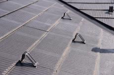 20190612  Isama mae04.JPG