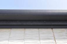 20190612  Isama mae06.JPG