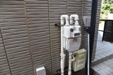 20190612  Isama mae31.JPG