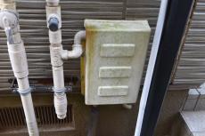 20190612  Isama mae32.JPG