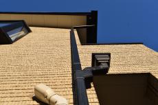 20190612  Ssama mae 06.JPG