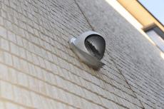 20190612  Ssama mae 11.JPG