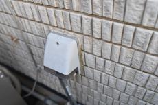 20190612  Ssama mae 12.JPG