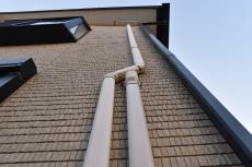 20190612  Ssama mae 14.JPG