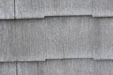 20190624  Isama mae12.JPG