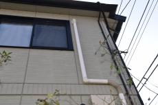 20190624  Msama mae06.JPG